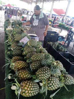 NENAS MD2 - Thumbnail 2