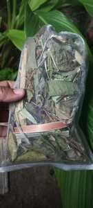 Herba mandian serom/bersalin - Image 1