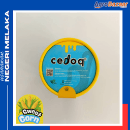 Jagung - Thumbnail 1