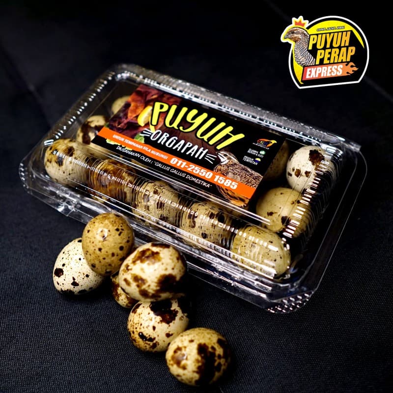 TELUR PUYUH - Image 1