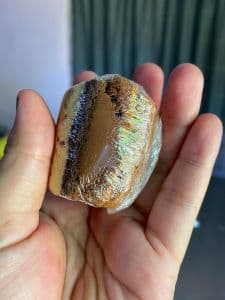 BABY KEK TAPAK KUDA - HAZELNUT CRUNCHY - Image 1