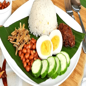 NASI LEMAK BASMATHI BIASA - Image 1