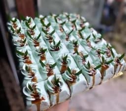 PANDAN GULA MELAKA SLICE - Thumbnail 1