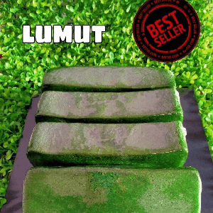 Kek Lapis Lumut(PREMIUM)