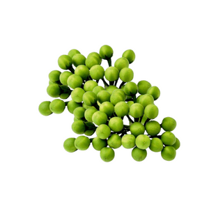 TERUNG PIPIT SELONGGOK RM2