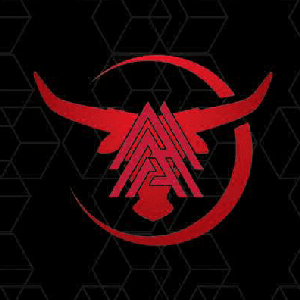 AMIRSHAH ADZIM BIN AZIZ cover