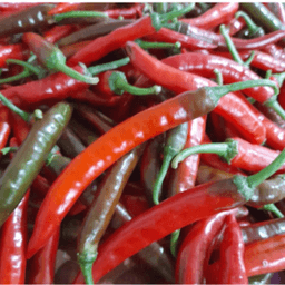 CILI BESAR SAKATA 461 - Thumbnail 1