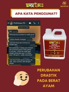 SMX KING 2 LITER - Thumbnail 2