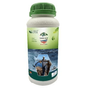 Marine kelp Organic Fertilizer - Image 1