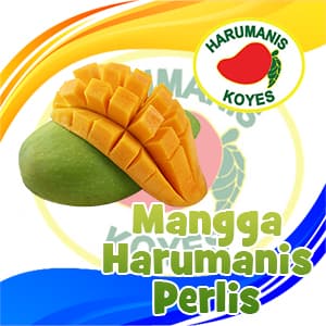 [Pre-order Self-Pickup] Harumanis Perlis - 3kg @FAMA Point Selayang - Image 1
