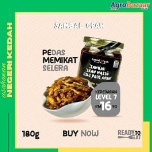 SAMBAL IKAN MASIN CILI PADI OPAH - Image 1