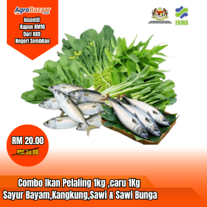 Combo ikan & Sayur - Image 1
