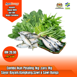 Combo ikan & Sayur - Thumbnail 1