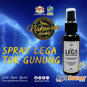SPRAY LEGA TOK GUNUNG NAKAWAN HERBS