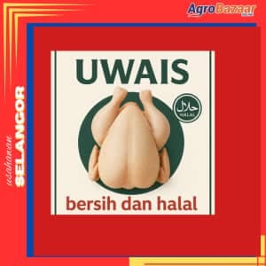 Ayam Uwais Bersih dan Halal - Image 1