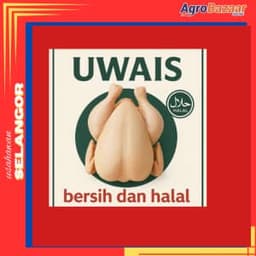 Ayam Uwais Bersih dan Halal - Thumbnail 1