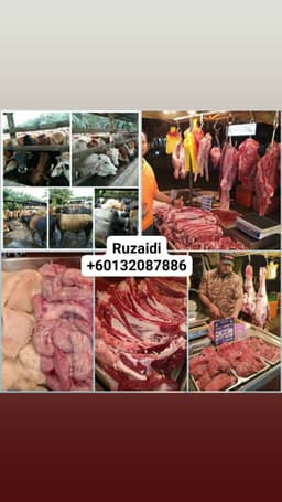 Daging Cincang - Thumbnail 1