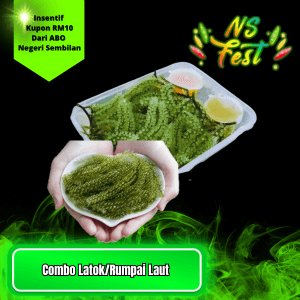 combo Latok ( Seaweed )