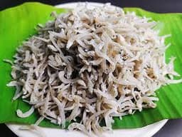 Ikan Bilis Mata Biru - Thumbnail 1