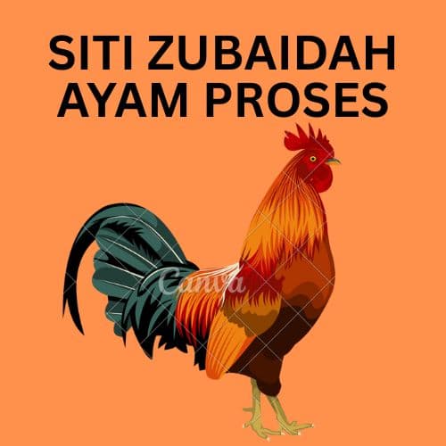 SITI ZUBAIDAH AYAM PROSES cover