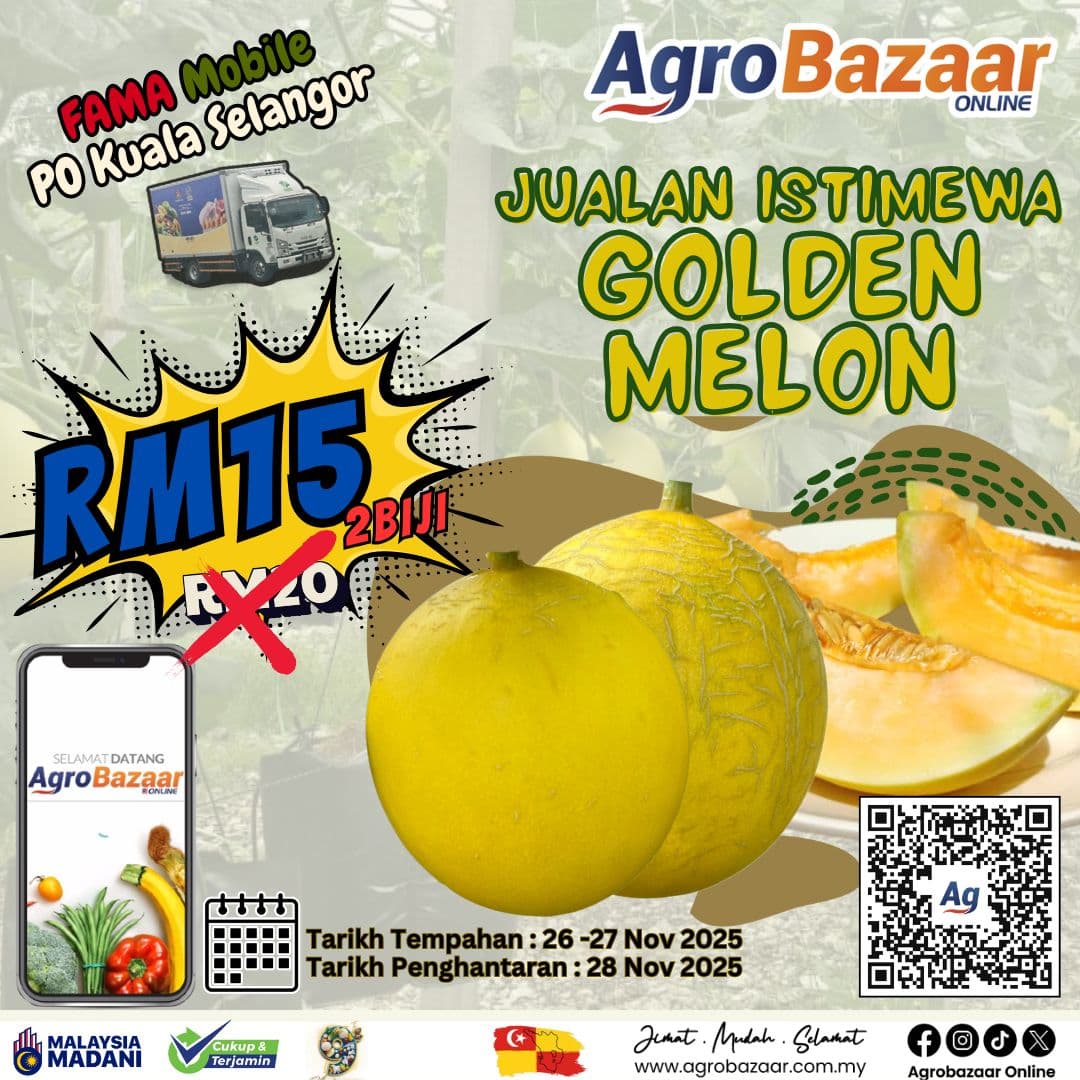 Kombo Golden Melon 2 Biji