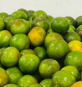 Limau Madu Kampung (1kg) - Image 1