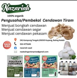 CENDAWAN SEGAR - Thumbnail 2