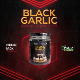 Bawang Lanang Hitam - Thumbnail 1