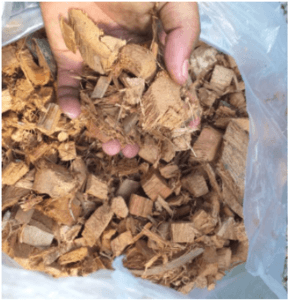 Sabut cicang (Cocochip)