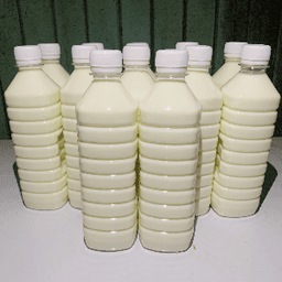 SUSU KAMBING SEGAR ATAS TOL - Thumbnail 1