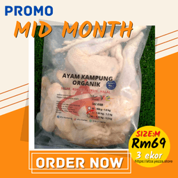 AYAM KAMPUNG ORGANIK AFZA - Thumbnail 2