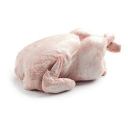 AYAM SEGAR - Thumbnail 1