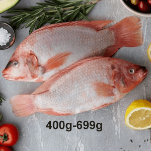 Frozen Ikan Tilapia Batang Ai (400-699g)