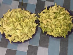 KETUPAT PALAS - Thumbnail 1