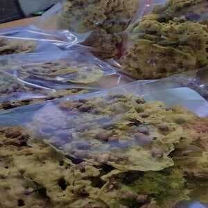 Rempeyek Kacang Tanah