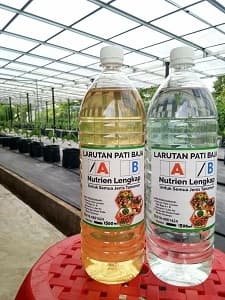 Baja AB 1.5L - Thumbnail 1