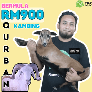 QURBAN KAMBING RM900 - Image 1