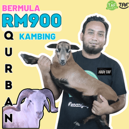 QURBAN KAMBING RM900 - Thumbnail 1