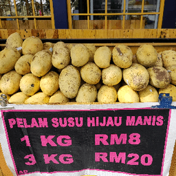 PELAM SUSU - Thumbnail 1