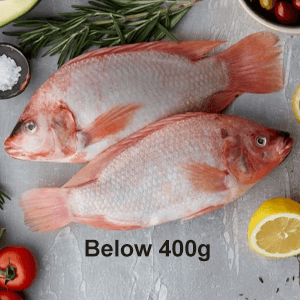 Frozen Ikan Tilapia Batang Ai (below 400g)