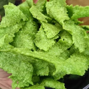 MURUKU KACANG PEAS