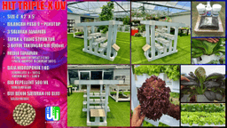 HLT TRIPLE X-UV - Thumbnail 2