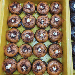 Donut Biasa/Arang - Thumbnail 1
