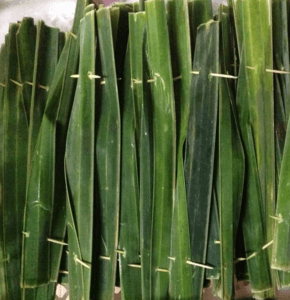 Otak2 ikan - Image 1