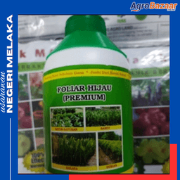 FOLIAR HIJAU (PREMIUM) - Thumbnail 1