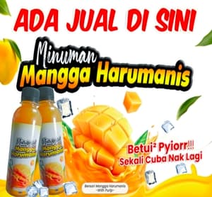 MINUMAN MANGGA HARUMANIS (Pickup point) - PAT 2023