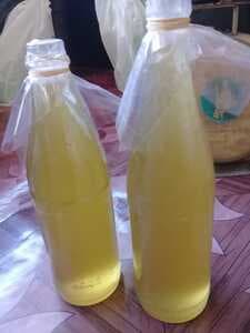 MADU TUALANG 1kg - Thumbnail 1