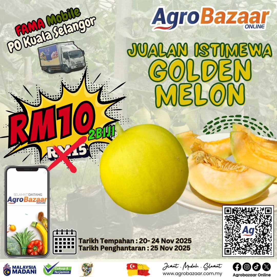 Kombo Golden Melon 2 Biji - Image 1