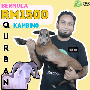 QURBAN KAMBING RM1501 - Image 1