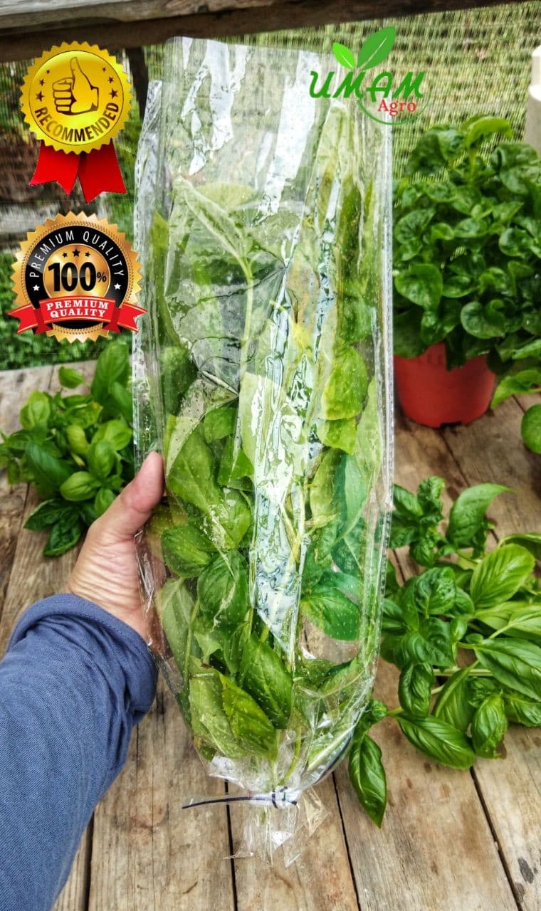 Plastic Packaging Vegetables/Fruits/Flowers BOPP Plastic - Plastik Packing Sayur Micro Perforated 200 pcs